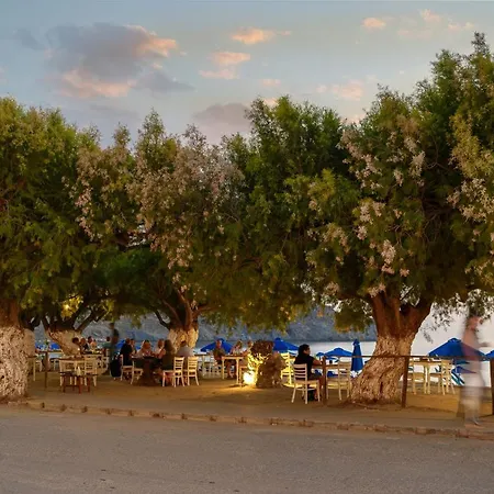 Alianthos Hotel Plakias