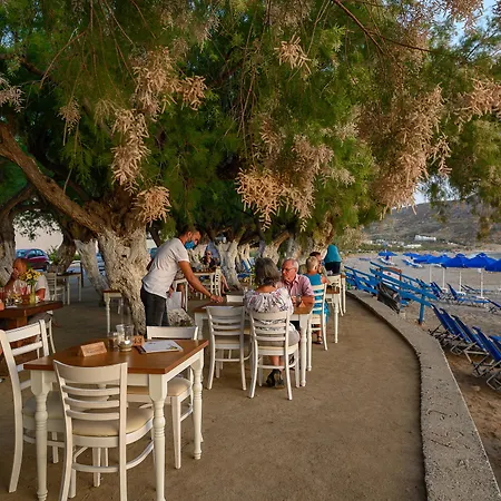 Alianthos 3* Plakias