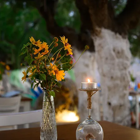 Hotel Alianthos Plakias