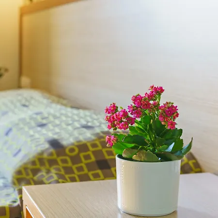 Alianthos Hotel 3*