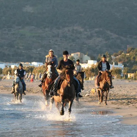 Alianthos Hotel Plakias
